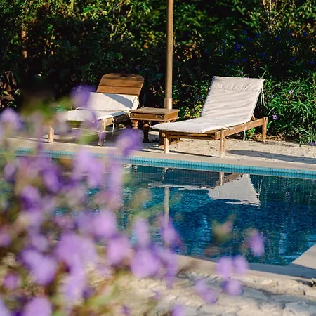 Villa Agro Art Boutique & Luxury - Two Art With Pools, Unique Decors, And A Treehouse Option